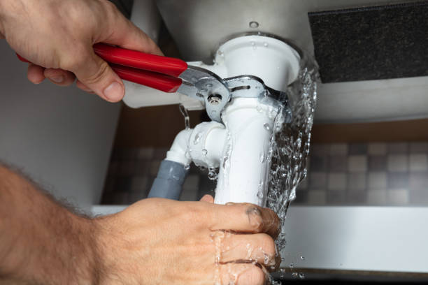 Best Ceiling water damage repair  in Jacksonwald, PA