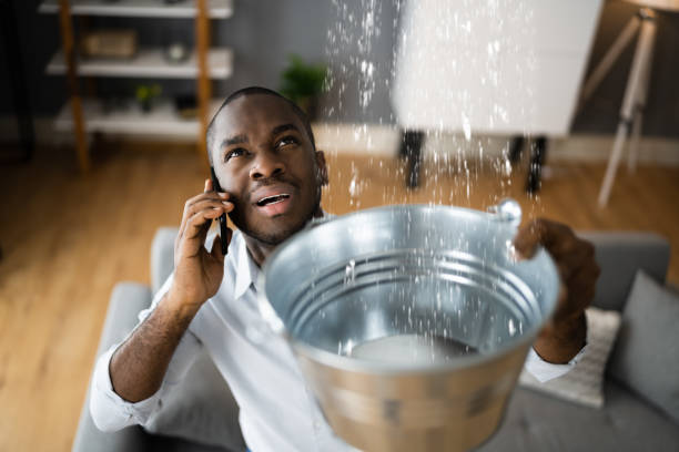  Jacksonwald, PA Water damage restoration Pros