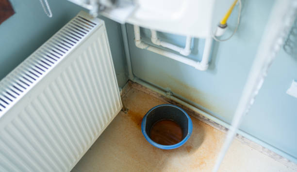 Best Carpet water damage restoration  in Jacksonwald, PA
