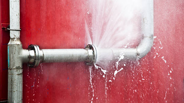 Best Water damage cleanup near me  in Jacksonwald, PA