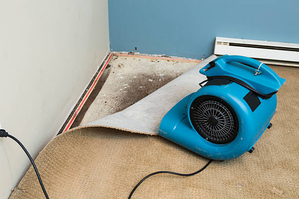 Best 24/7 water damage repair  in Jacksonwald, PA